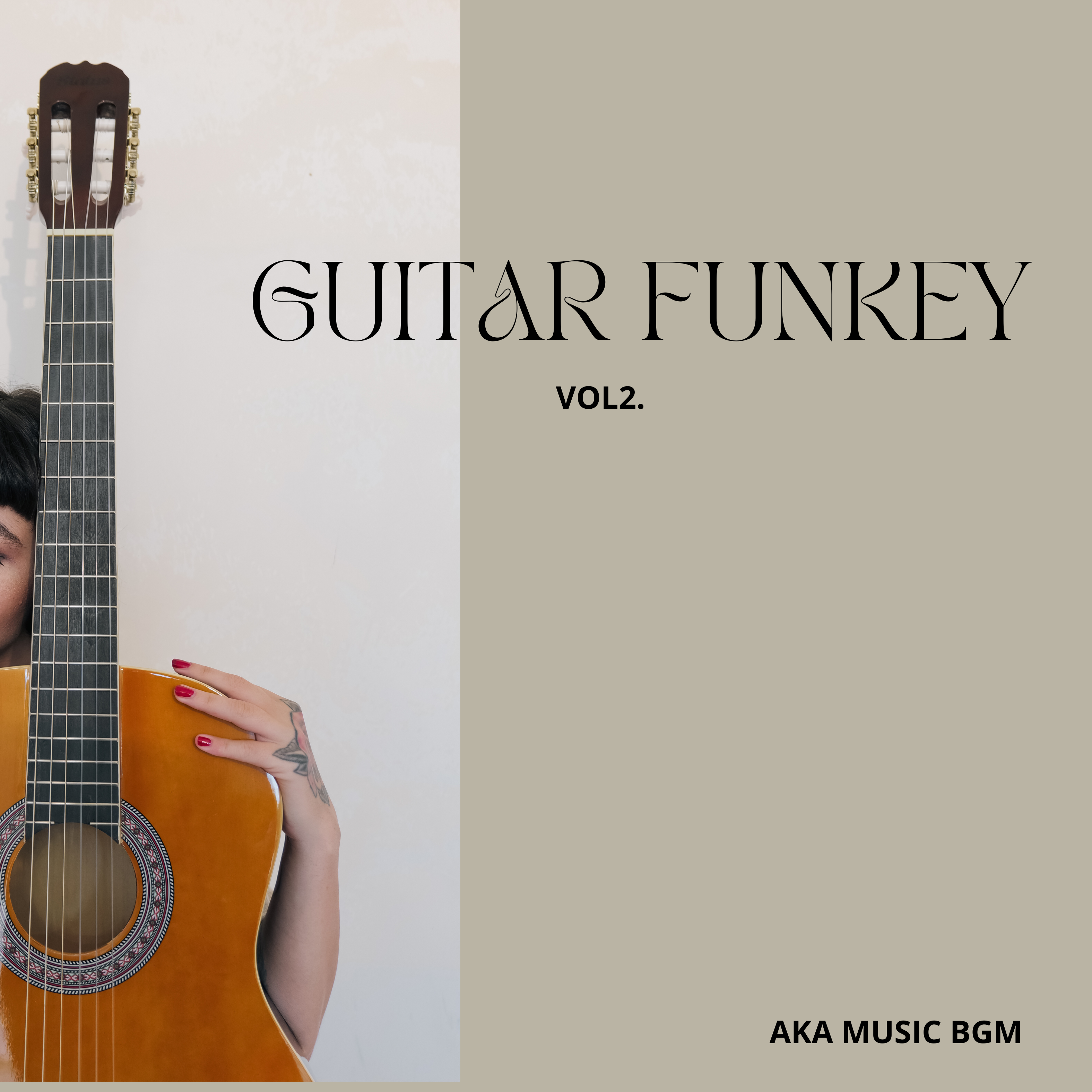 GUITAR FUNKY VOL2 cover